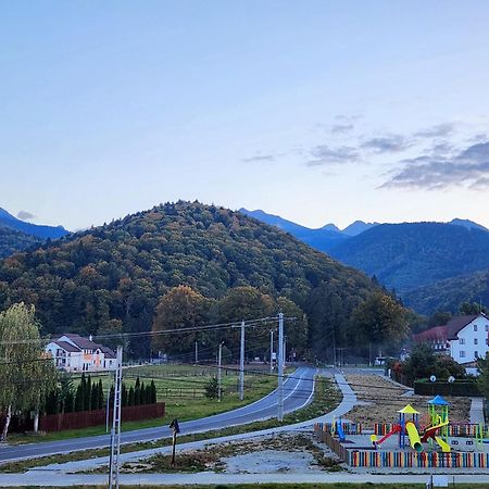 Pensiunea Emma Sîmbăta de Sus Exterior foto