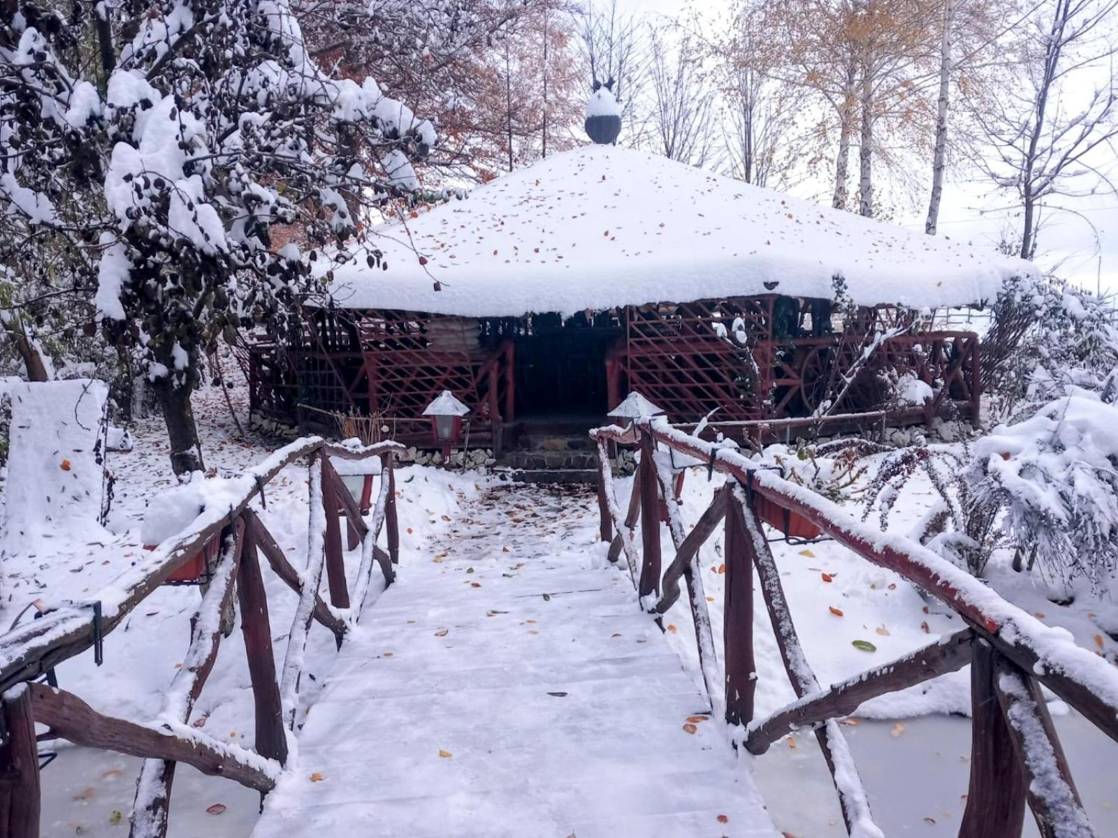 Pensiunea Emma Sîmbăta de Sus Exterior foto