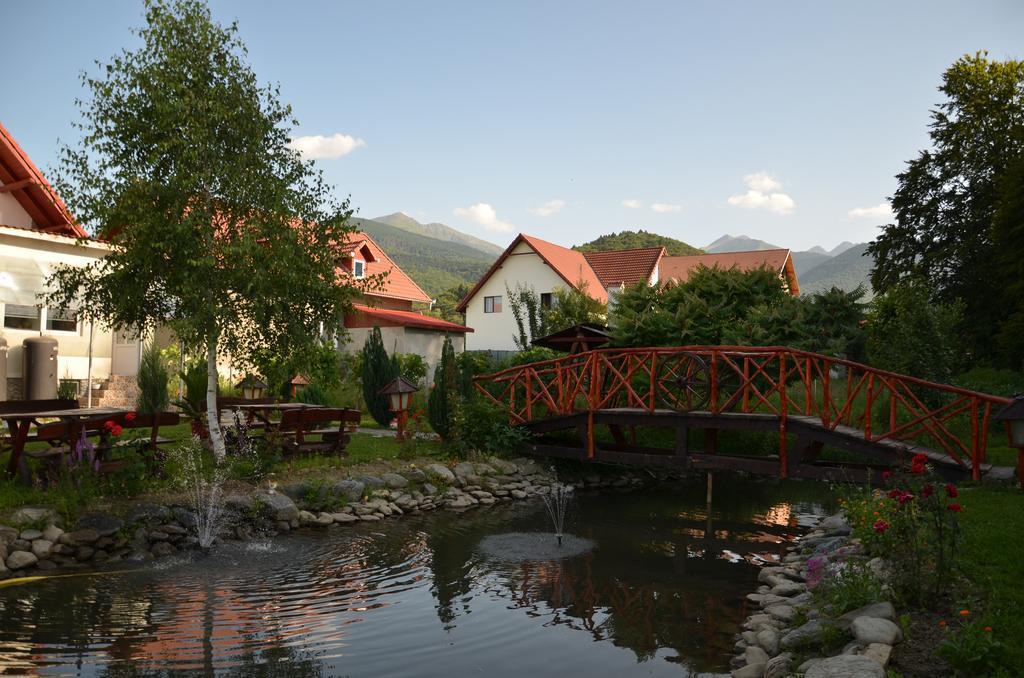 Pensiunea Emma Sîmbăta de Sus Exterior foto