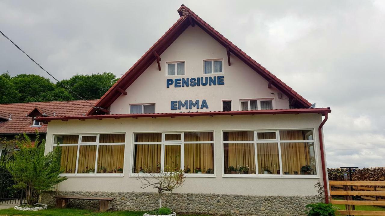 Pensiunea Emma Sîmbăta de Sus Exterior foto